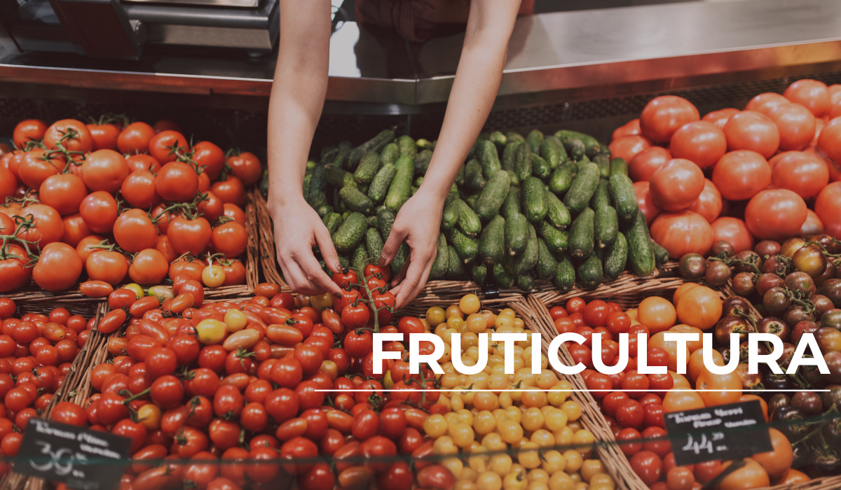 fruticultura
